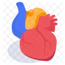 Heart Anatomy Organ Icon