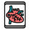 Heart App  Icon