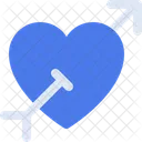 Heart Arrow Gender Symbol Icon