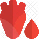 Heart Blood  Icon