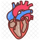 Heart Blood Circulation Cardiovascular System Heart Icon