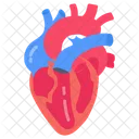 Heart Blood Circulation Cardiovascular System Heart Icon