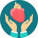 Heart Care Heart Medical Icon