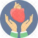 Heart care  Icon