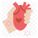 Heart Organ Donate Icon