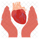 Heart donation  Icon