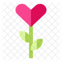 Flower Love Heart Icon