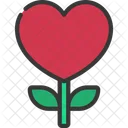 Heart Flower Heart Flower Icon