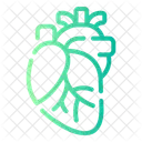 Heart  Icon