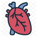 Heart  Icon