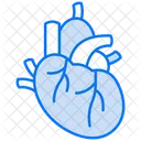 Heart  Icon