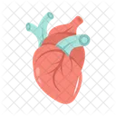 Health Heart Cardiology Icon