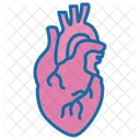 Heart Hospital Treatment Icon