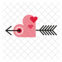 Heart  Icon