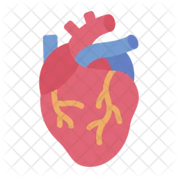 Heart  Icon