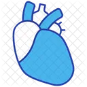 Heart  Icon