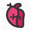 Heart Organ Transplant Icon