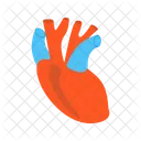 Heart Anatomy Organ Icon