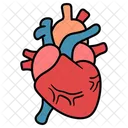 Heart Organ Blood Icon