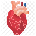 Heart Organ Body Part Icône