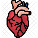 Heart Organ Body Part Icône