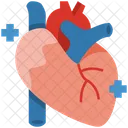 Heart  Icon