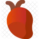 Heart  Icon