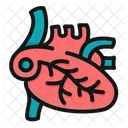 Heart  Icon