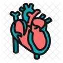 Heart  Icon