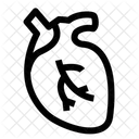 Heart  Icône