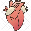 Heart  Icon