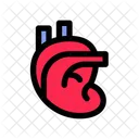 Heart  Icon
