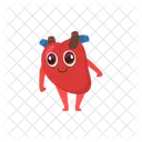 Heart  Icon