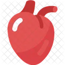 Heart  Icon