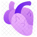 Heart  Icon