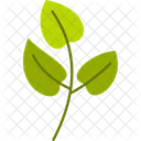 Heart Leaf Plant Spring Nature Icon