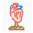 Heart Model Cardiology Icon