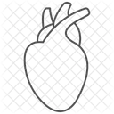 Heart Organ Grey Thin Line Icon Icon