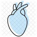 Heart Organ Color Shadow Line Icon Icon