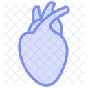 Heart Organ Color Outline Icon Icon