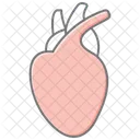Heart Organ Awesome Lineal Color Icon Icon