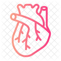 Heart Organ  Icon