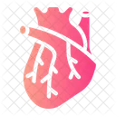 Heart Organ Heart Transplant Icon
