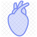 Heart Organ Color Outline Icon 아이콘