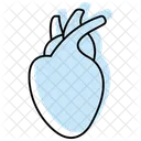 Heart Organ Color Shadow Line Icon 아이콘
