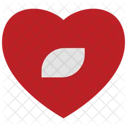 Heart record button  Icon