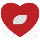 Heart Record Button Icon