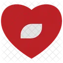 Heart Record Button Record Button Heart Icon