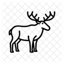 Heart shape  Icon