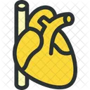 Hearth Pulse Cardiology Icon
